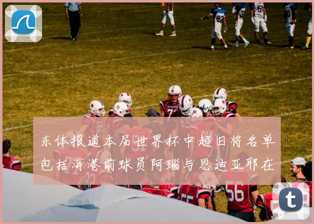 东体报道本届世界杯中超旧将名单包括海港前球员阿瑙与恩迪亚耶在内的10位球员